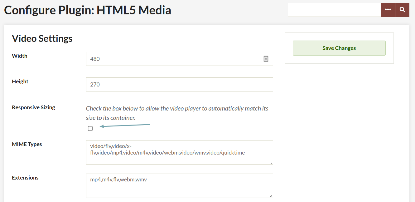 HTML5 Video options